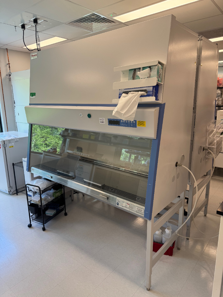 Image of Thermo 1300 Series A2 6' BioSafety Cabinet